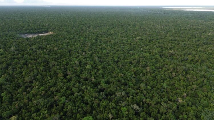 Amigos de Sian Ka'an Se Pronuncia sobre el Proyecto 'Puerta al Mar'