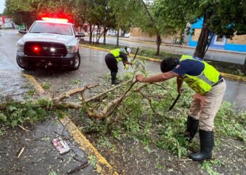 Playa del Carmen activa brigadas de respuesta por lluvias intensas