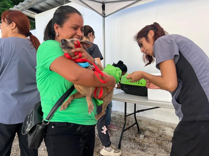 Agotan en Cancún casi 400 vacunas antirrábicas en menos de 3 horas