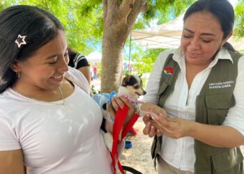 Más de 100 mascotas vacunadas en el Adopta Fest de Cancún