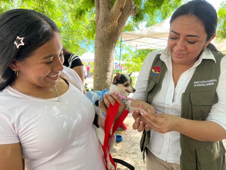 Más de 100 mascotas vacunadas en el Adopta Fest de Cancún