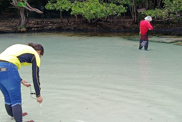 Vigilan calidad del agua en playas certificadas de Playa del Carmen