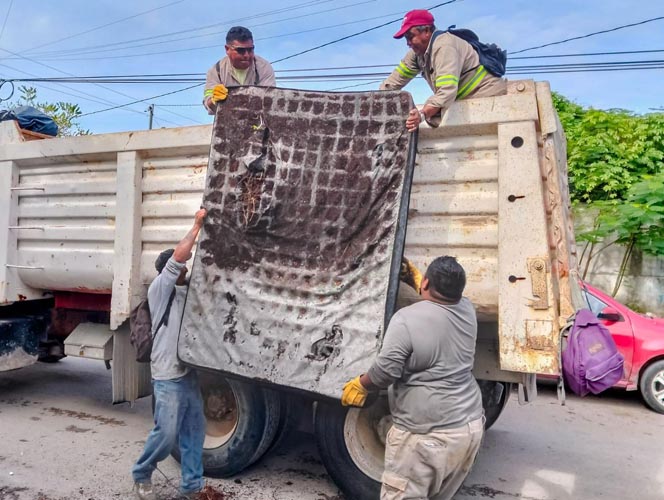 Inicia Tulum jornada contra el dengue