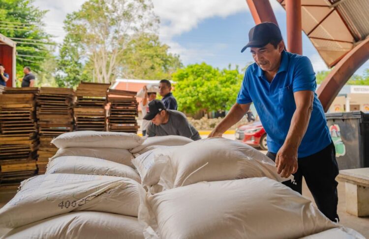 Entregan 61 apoyos ganaderos en Tulum
