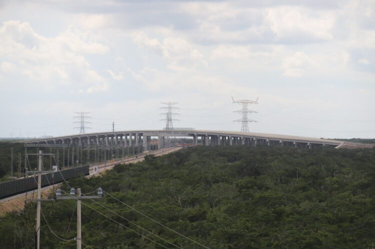 Huayacán
