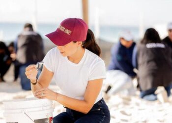 Cancún cierra 2025 con histórica temporada de protección de tortugas