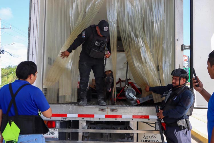 Implementan filtros simultáneos de seguridad en accesos de Playa del Carmen