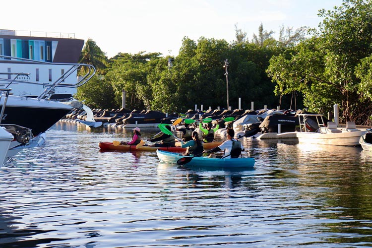 Jóvenes y voluntarios limpian la Laguna Nichupté en jornada encabezada por Óscar Rébora