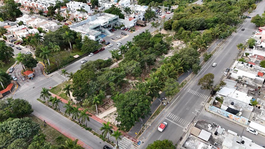 Supervisa Ana Paty Peralta avance del Jardín Medicinal Maya en Cancún