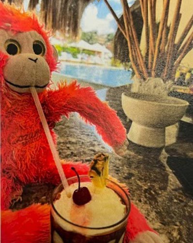El viaje inesperado de un mono de peluche conquista las redes