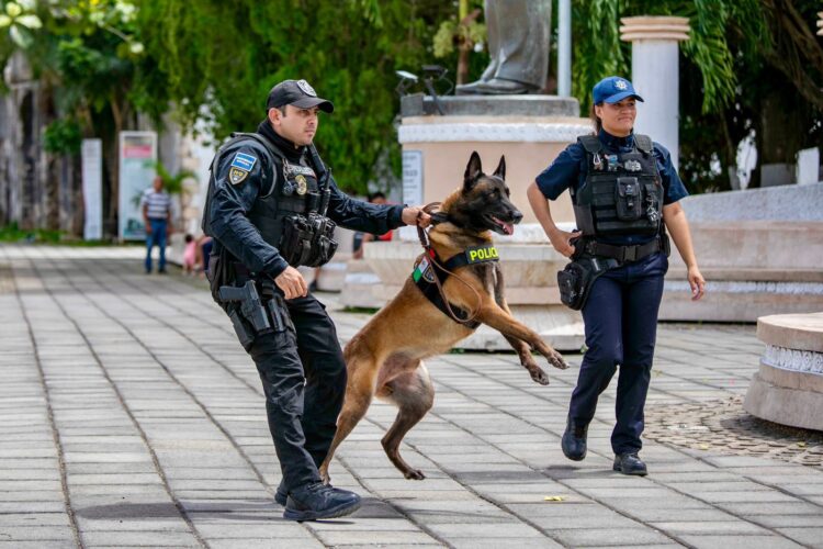 Kamil se une a la vigilancia en Felipe Carrillo Puerto