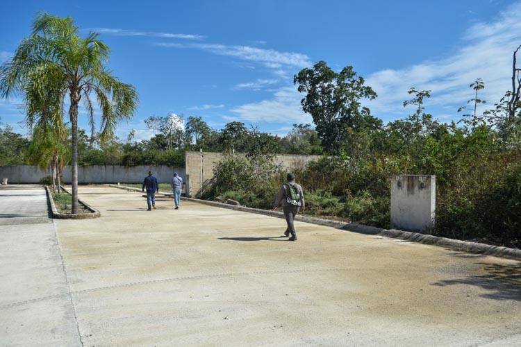 Aseguran desarrollo irregular en Bonfil por presunto daño ambiental