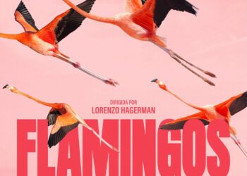 Flamencos: el renacer de una especie tras el impacto del cráter en Yucatán