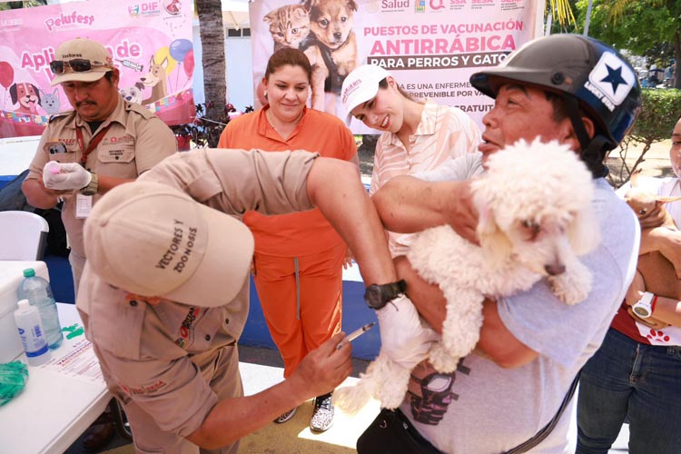 Familias se suman al Pelufest en apoyo a animales en Isla Mujeres