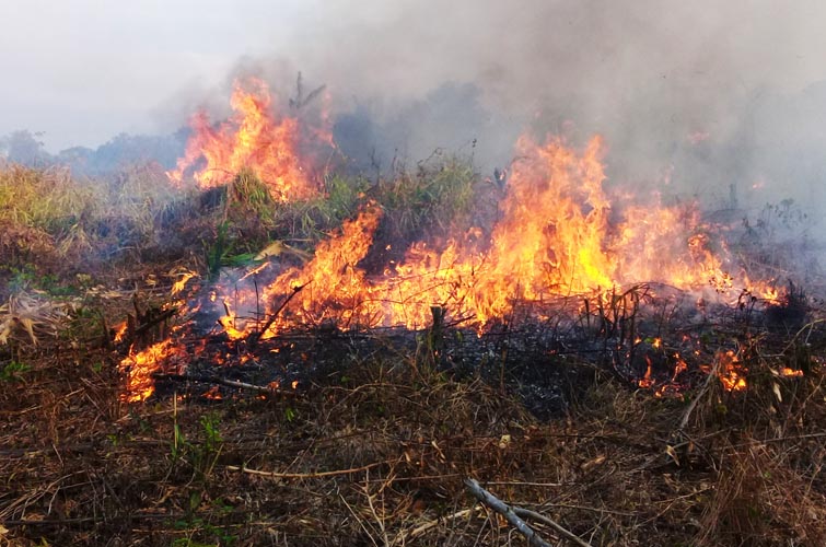 Conagua advierte condiciones críticas para incendios forestales