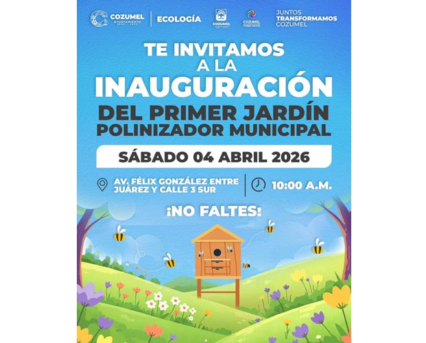 Cozumel inaugurará su primer Jardín Polinizador para proteger la mariposa monarca