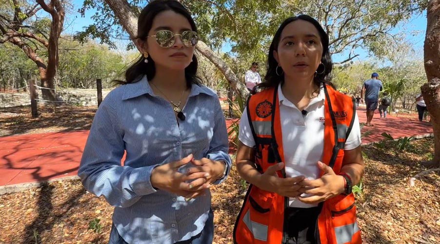 Registran más de 700 ejemplares de mariposa monarca a su paso por Quintana Roo