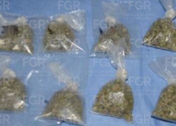 Más de 98 kilos de marihuana aseguran en Chetumal; detenido queda bajo proceso