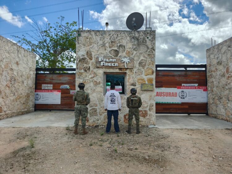 Aseguran predio en Ruta de los Cenotes por posibles daños ambientales