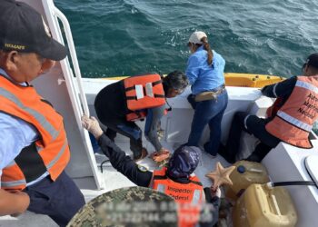 Sorprenden a pescador con caracol rosado y estrella de mar especies protegidas