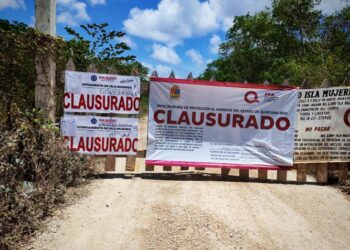 Clausuran predios irregulares en Zona Continental de Isla Mujeres