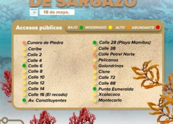 Consulta el semáforo de sargazo antes de ir a la playa