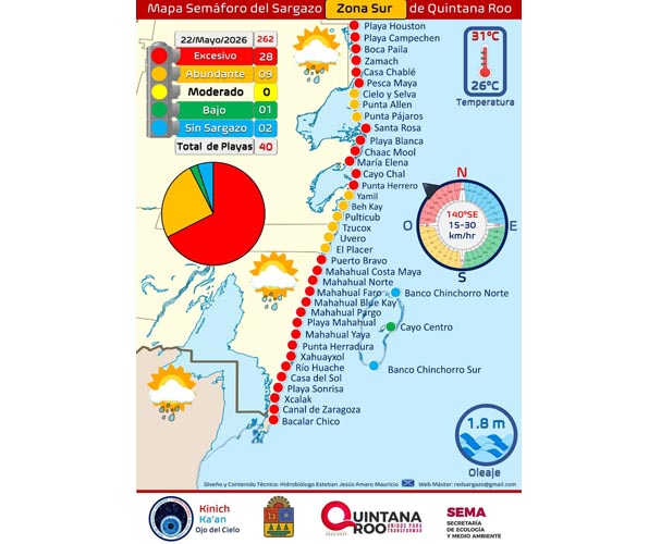 Sargazo golpea con fuerza al sur de Quintana Roo; 28 playas reportan recale excesivo
