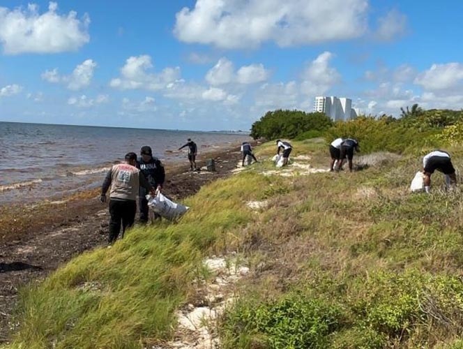 Marina limpia Playa Coral y retira más de 300 kilos de basura