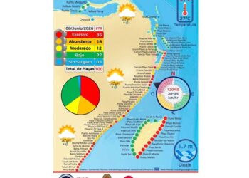 Sargazo golpea costas de Quintana Roo; 35 playas reportan niveles excesivos