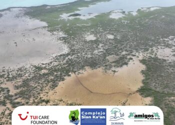 Restauran canales para devolver la vida a manglares de Sian Ka’an
