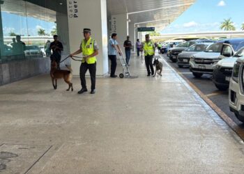 Cancún despega con fuerza: 195 llegadas dinamizan el flujo de visitantes