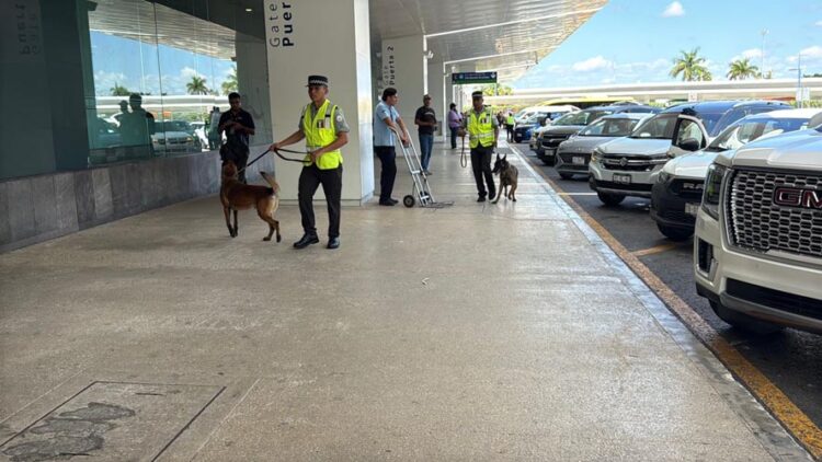 Cancún despega con fuerza: 195 llegadas dinamizan el flujo de visitantes