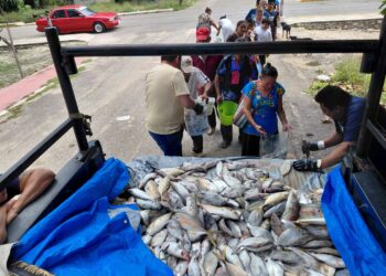 “Del Mar a tu Mesa” fortalece la alimentación de familias vulnerables