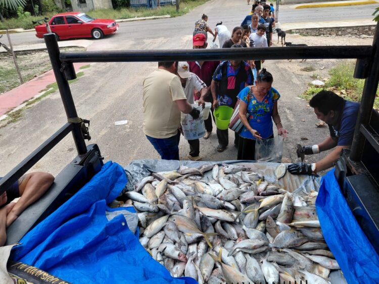 “Del Mar a tu Mesa” fortalece la alimentación de familias vulnerables