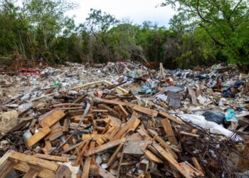 Detectan tiradero clandestino con 60 toneladas de residuos en Playa del Carmen