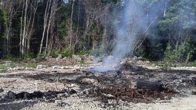 FGR destruye más de 159 kilos de droga en Quintana Roo