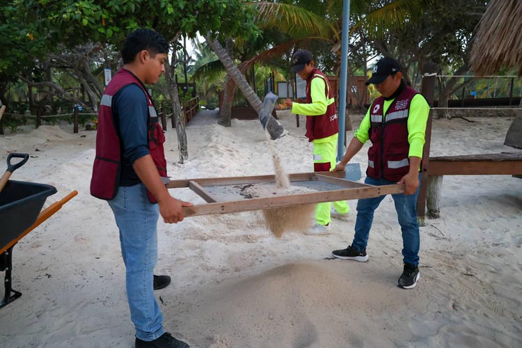 Cancún intensifica limpieza de playas y supera las 37 mil toneladas de sargazo retiradas
