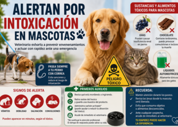 Alertan por intoxicación en mascotas