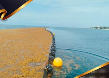 Sargazo supera las 88 mil toneladas recolectadas en Quintana Roo durante la temporada 2026