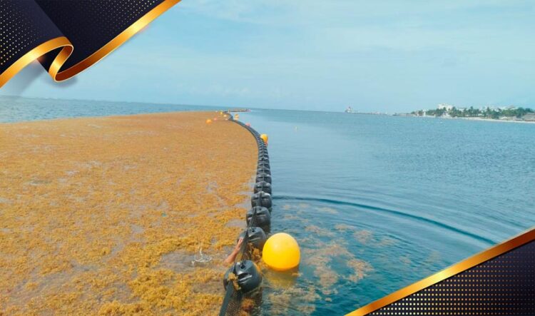 Sargazo supera las 88 mil toneladas recolectadas en Quintana Roo durante la temporada 2026