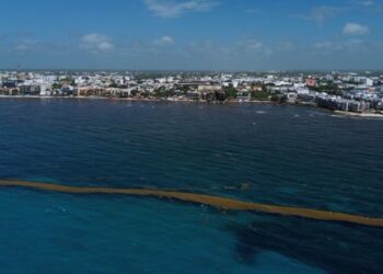 Sargazo y baja demanda hunden a pequeños hoteles de Playa del Carmen