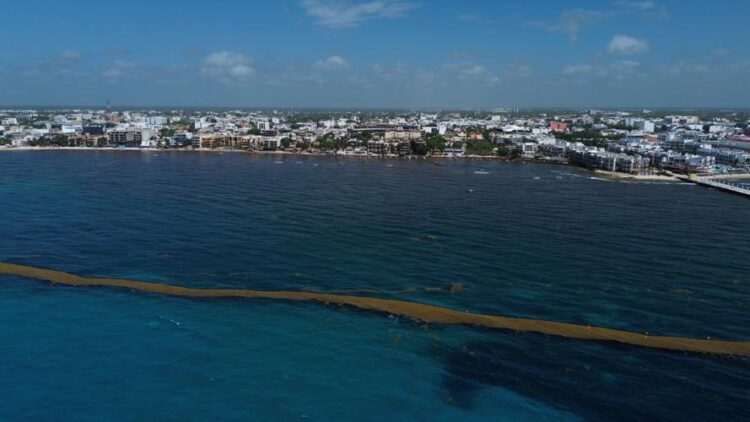 Sargazo y baja demanda hunden a pequeños hoteles de Playa del Carmen