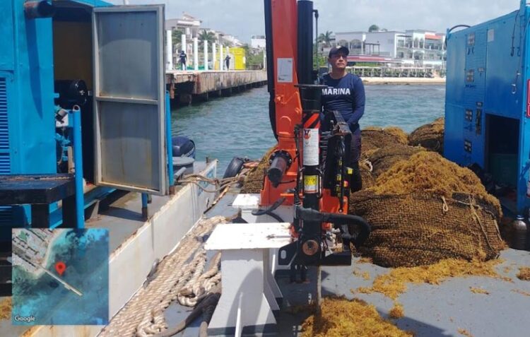 Marina supera las 79 mil toneladas de sargazo recolectadas en Quintana Roo durante 2026