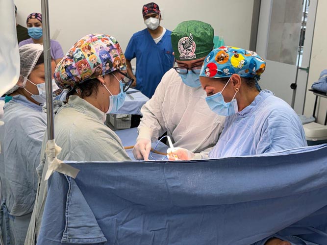 IMSS Quintana Roo realiza segunda procuración multiorgánica del año