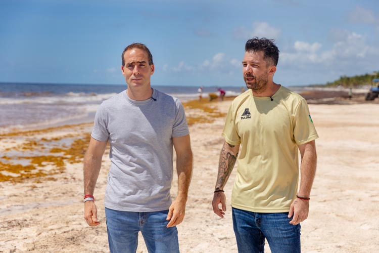 Tulum redobla la batalla contra el sargazo; recolectan más de 2,800 toneladas en 2026