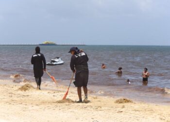 Quintana Roo supera las 83 mil toneladas de sargazo recolectadas