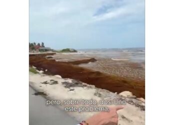 Sargazo pone en jaque al Caribe Mexicano y amenaza economía nacional