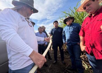 Destinan $6 millones al sector cañero