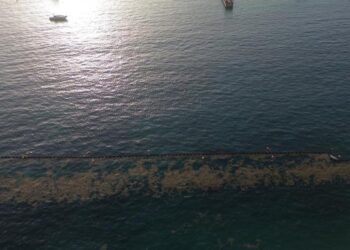 Quintana Roo, enfocada a atender el problema del sargazo