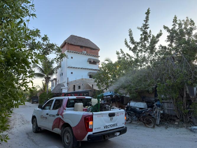 Inician fumigación preventiva en Holbox